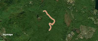 Neville Ridge Scout Foot Trail