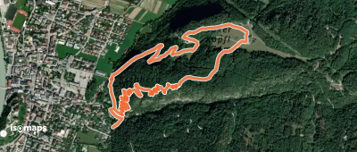 Elfenhain-Trail