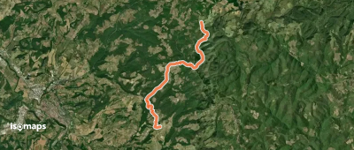 OSM Route 11564845
