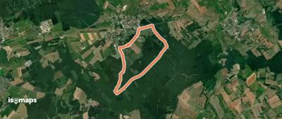Circuit du Chêne Président