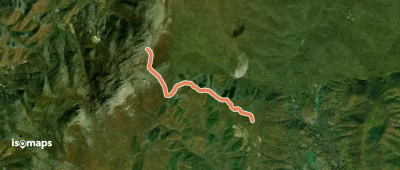 Pocosin Fire Road
