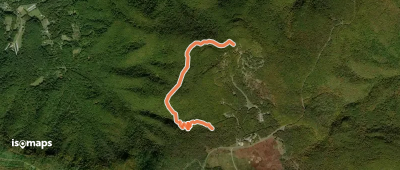 Lewis Spring Falls Trail