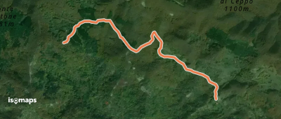 OSM Route 11579885
