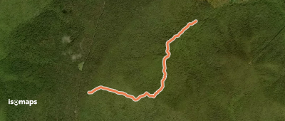 Laurel Prong Trail