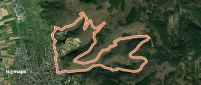 Rundwanderweg Dossenheim 3