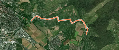 Nebenlinie des SAV (blaues Kreuz)