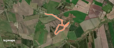Gul rute