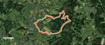 Rundwanderweg Rimbach 3: Hochwald-Weg