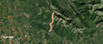 OSM Route 11628667