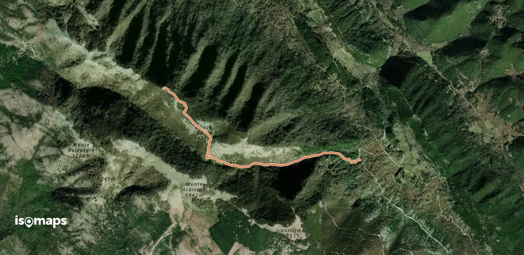 Pian della Faggeta-Acqua di Mezzavalle-Monte Capreo