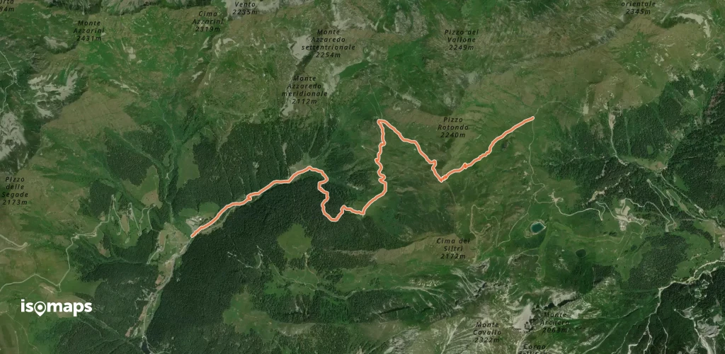 OSM Route 11638261
