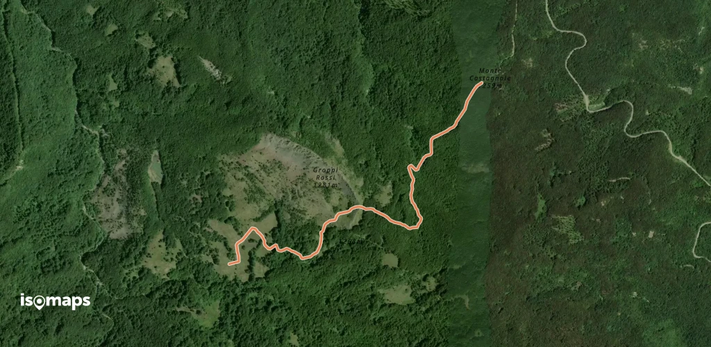 OSM Route 11639080