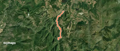 OSM Route 11659022