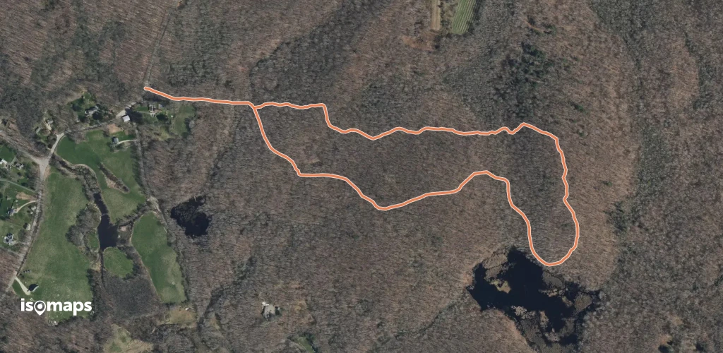 Friedman Forest Trail