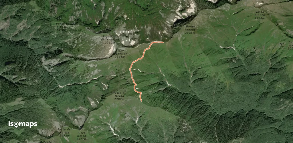 P20a - Bivio P20 sopra Alpe Curtin - Passo di Basagrana