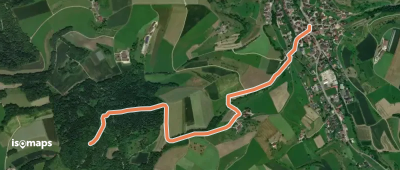 Wölflinswil - Lammetholz