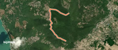 OSM Route 11734545