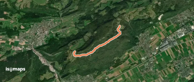 Roggenweid -Buchsiter Alp
