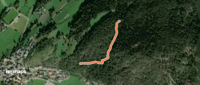 OSM Route 11769165