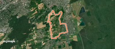Circuit du Brunnenberg et de la Bellevue - Habsheim