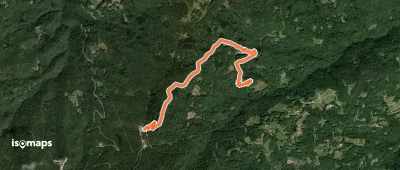 OSM Route 11783993