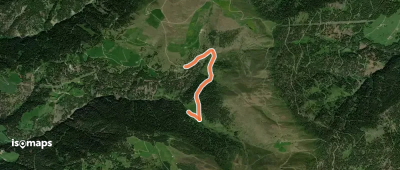 OSM Route 11784211
