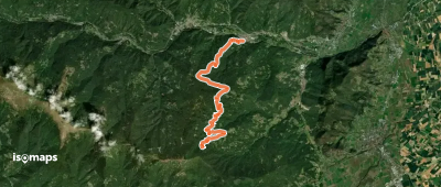 OSM Route 11784258