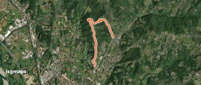 OSM Route 11804386