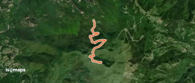 OSM Route 11804435