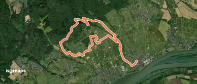 Rheingausport Tour Honigberg