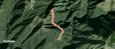 P15 - Cicogna - Cima Selva