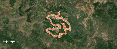 Ruta de los Ecosistemas Forestales