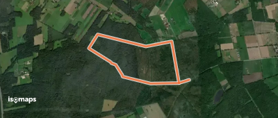 Hohe Wart Rundweg A2