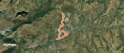 Panjuila