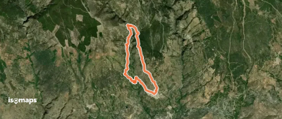 El Castaño Milenario