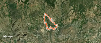 Joplón