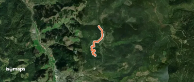 Immersberg - Rinkhalde