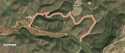 OSM Route 1304296