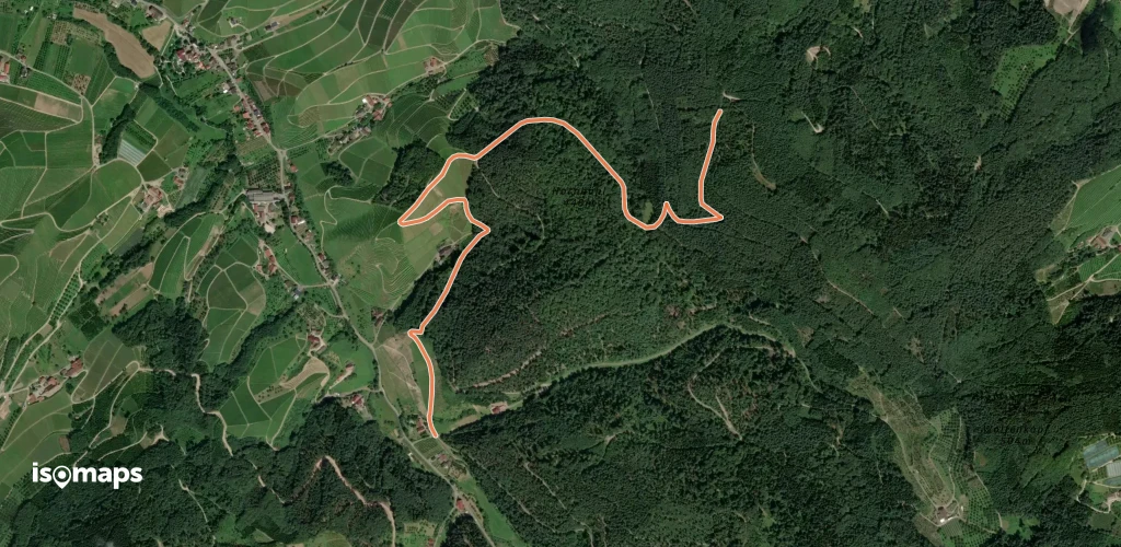 Abzweigung Mahlengrund - Am Durbachtalweg