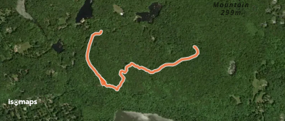 White Trail