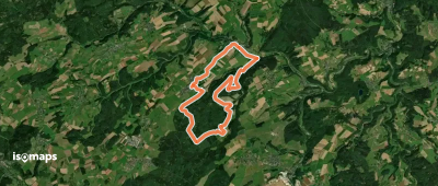 EifelSchleife Stille im Buchenwald