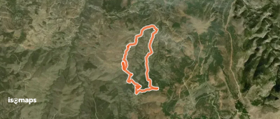 Sendero de las Encinas Milenarias