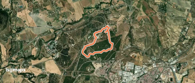 Dehesa del Mercadillo