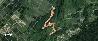 OSM Route 12036075