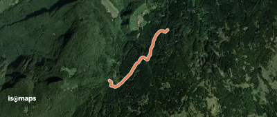 OSM Route 12037684