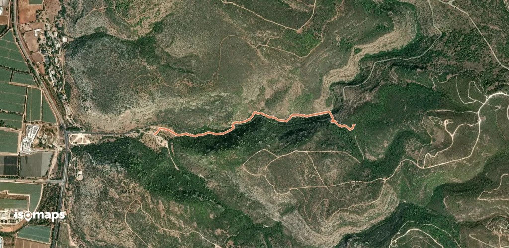 OSM Route 1345277