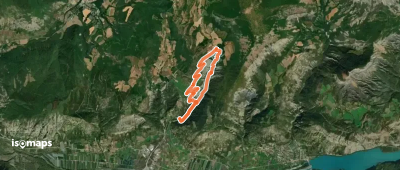 Demoiselles coiffées de Vallauria