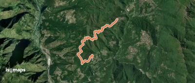 OSM Route 12089551