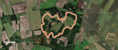 Haunstrup Brunkulslejer Gul