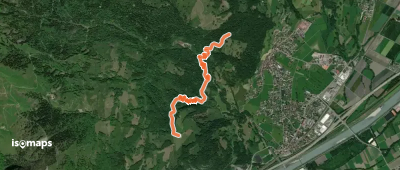 Böschenwald - Matug / Vild